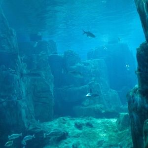 Meet your Posher, Vickie